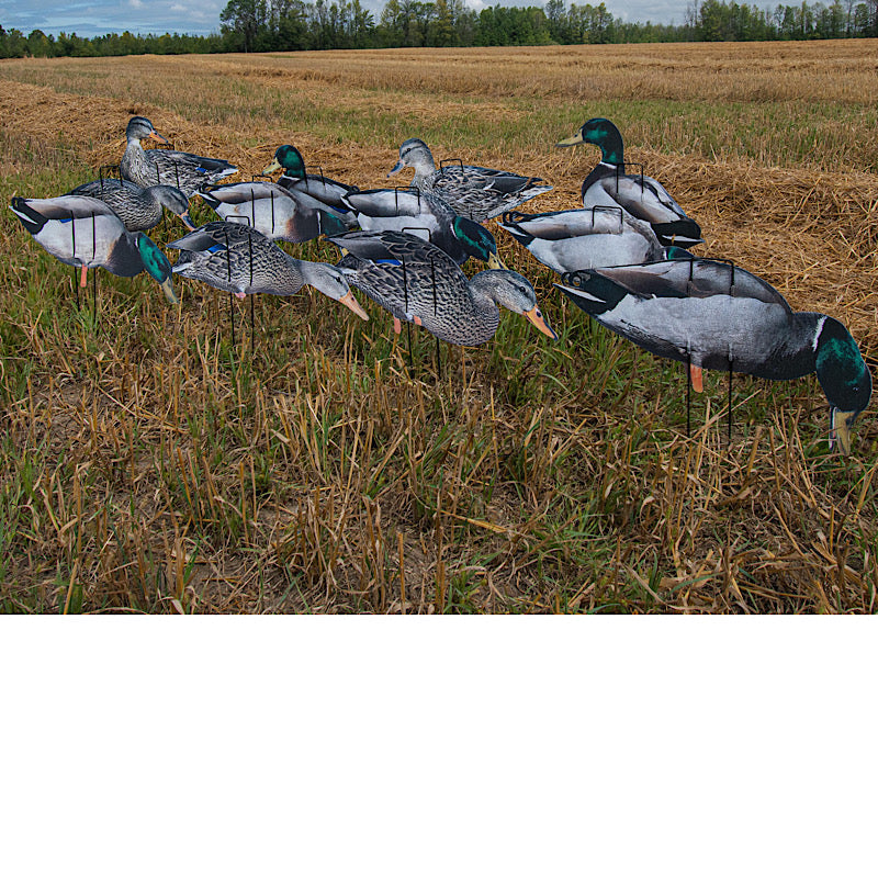 Pro II Lite Mallards