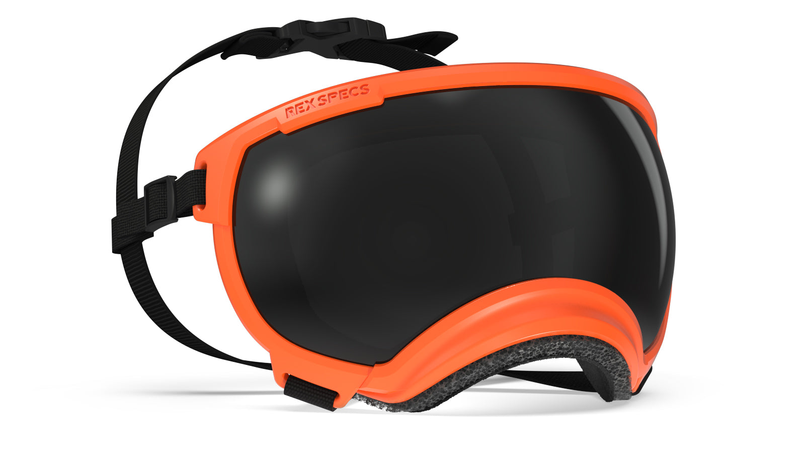 GunDog Goggles