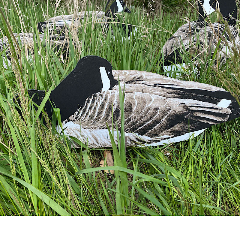 Pro Series II Sit’n Geese