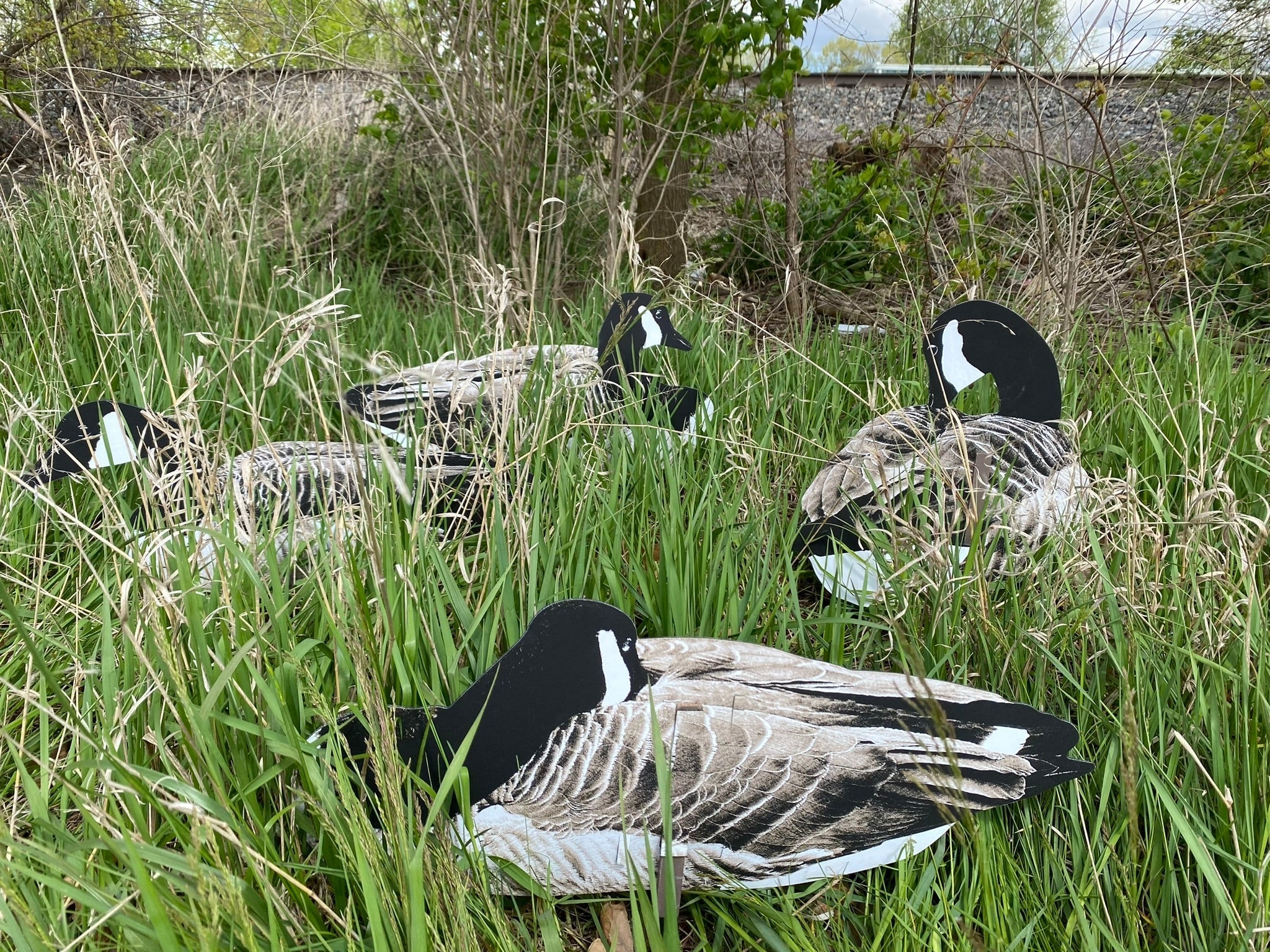 Pro Series II Sit’n Geese