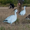 Pro Series II Snow Geese