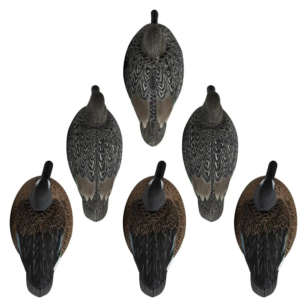 Rugged Series Blue-Winged Teal