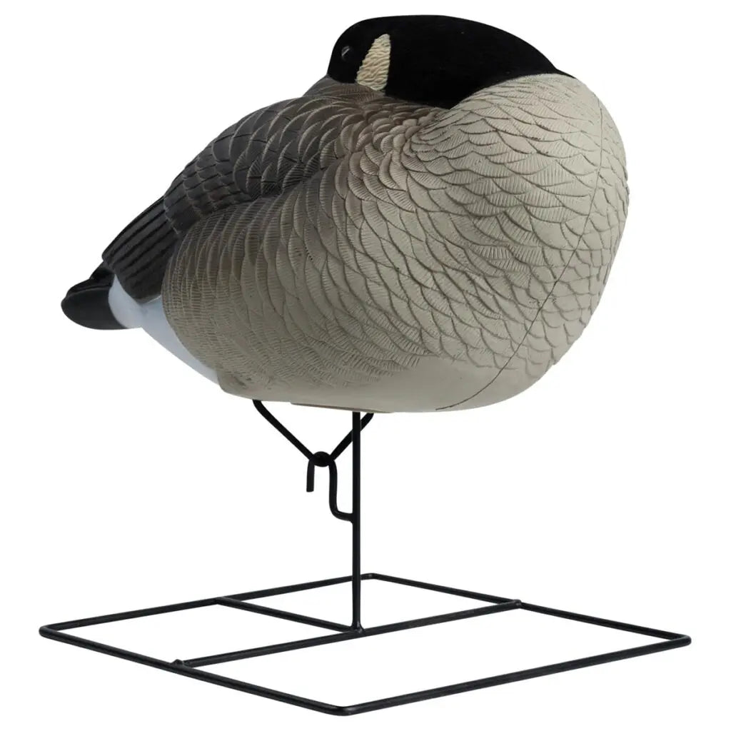 Rugged Series Flocked Head Full Body Canada Sleeper 4-Pack