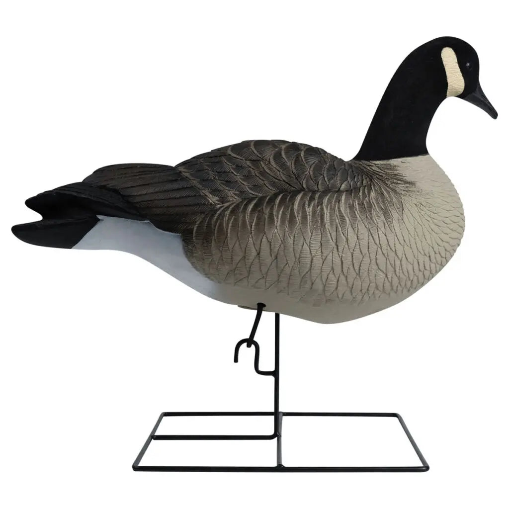 Rugged Series Full Body Canada Goose Touchdown Decoys – Flocked Head