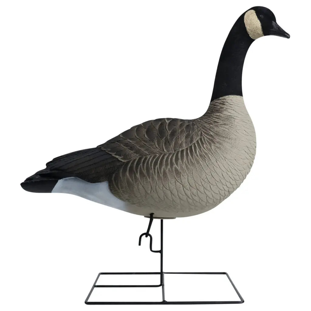 Rugged Series Full Body Canada Goose Touchdown Decoys – Flocked Head