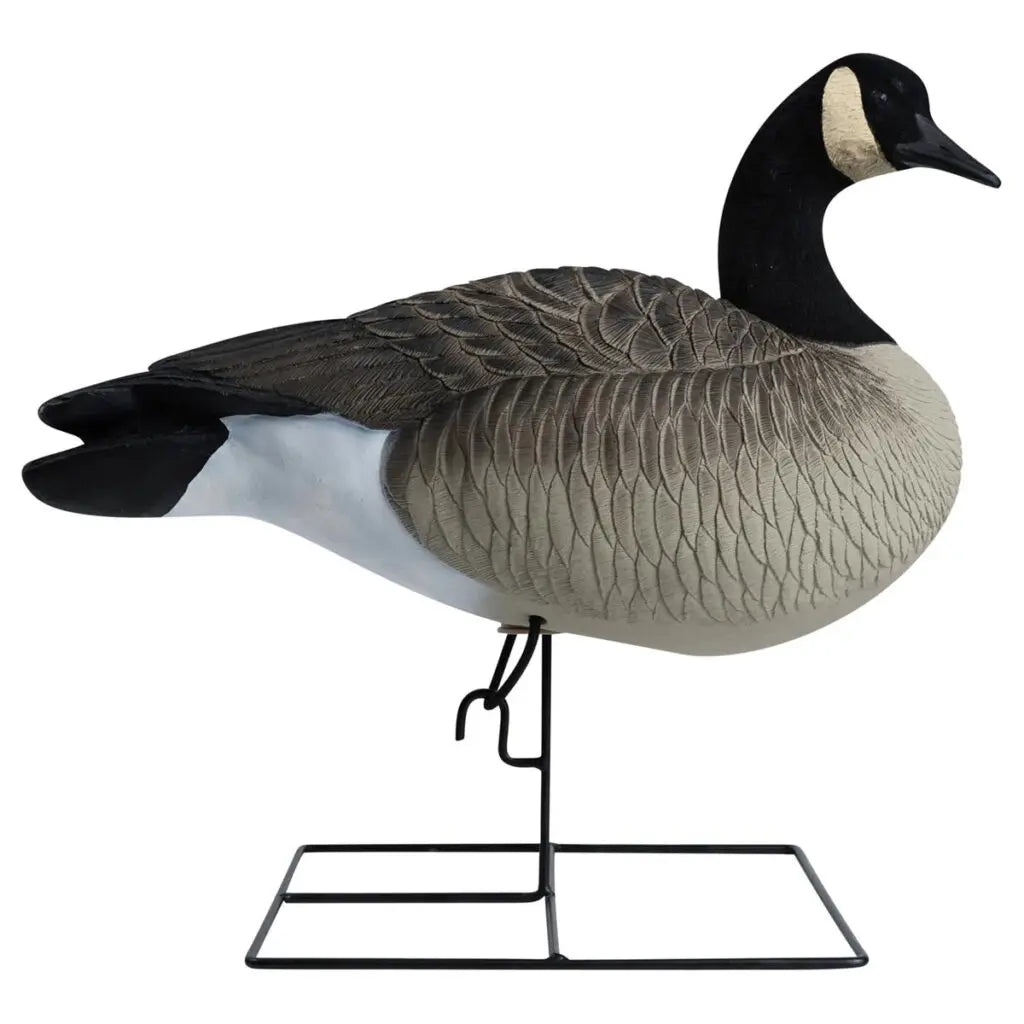 Rugged Series Full Body Canada Goose Touchdown Decoys – Flocked Head