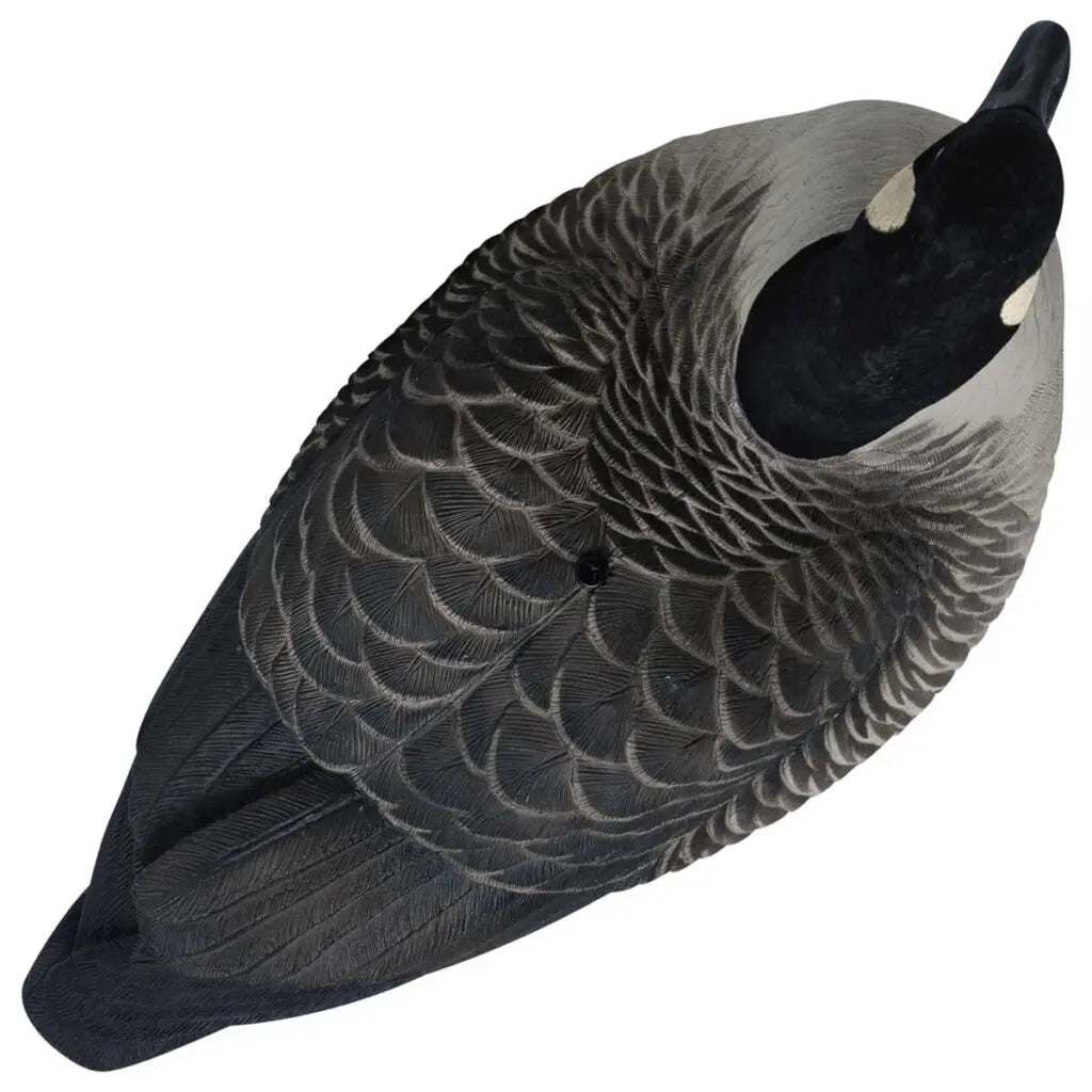 Rugged Series Full Body Canada Goose Touchdown Decoys – Flocked Head