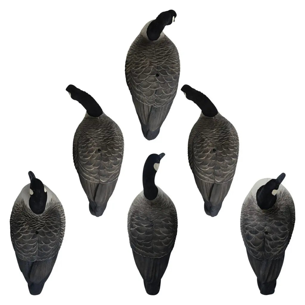 Rugged Series Full Body Canada Goose Touchdown Decoys – Flocked Head