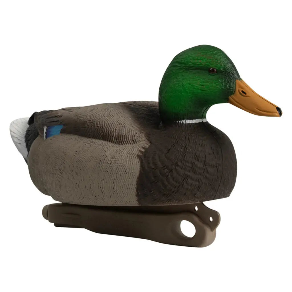Rugged Series Standard Mallard