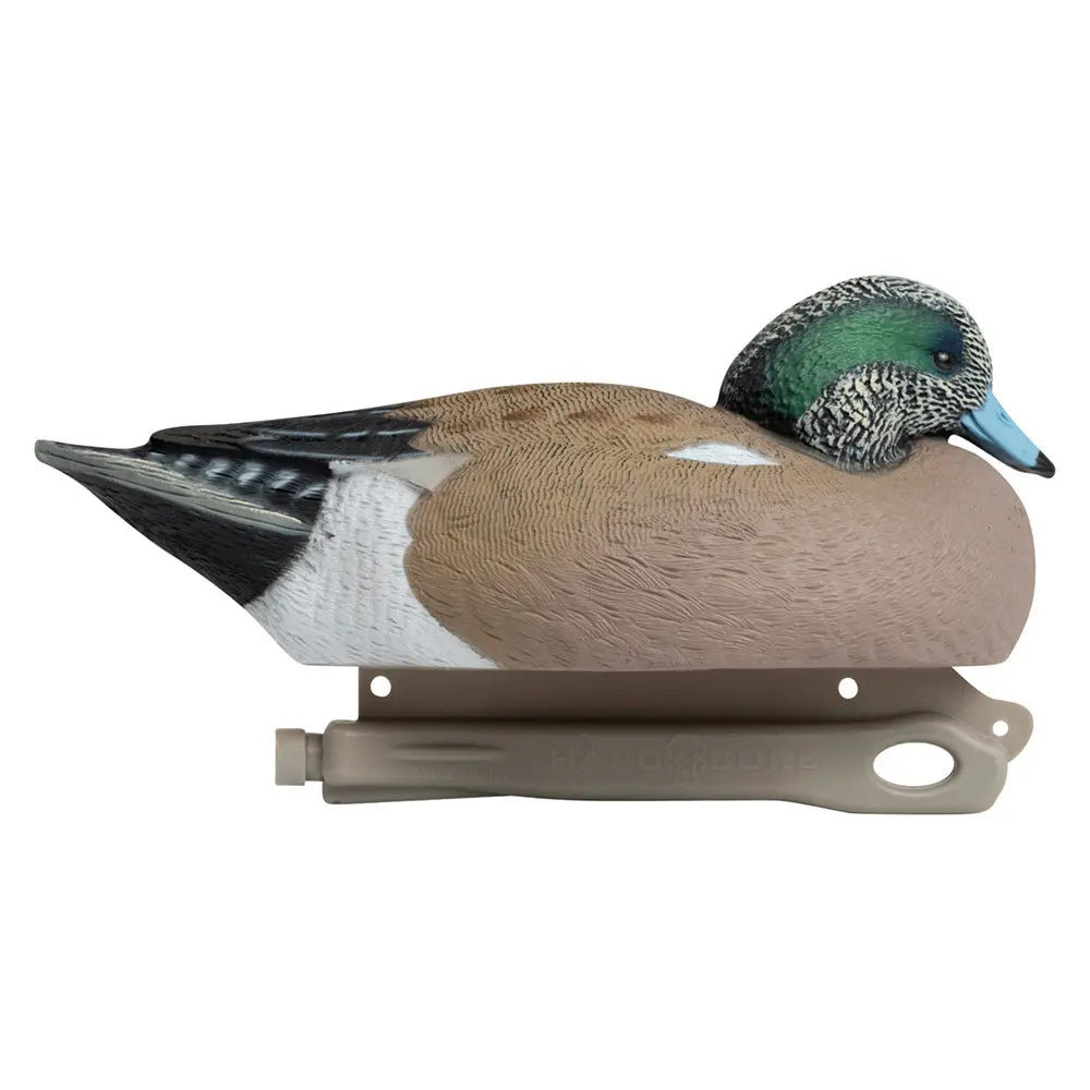 Rugged Series Wigeon
