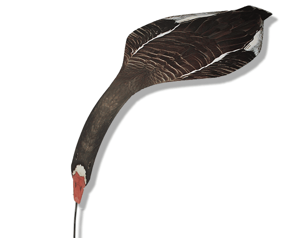 Top Down Decoys® SBS1 Specklebelly-Snow